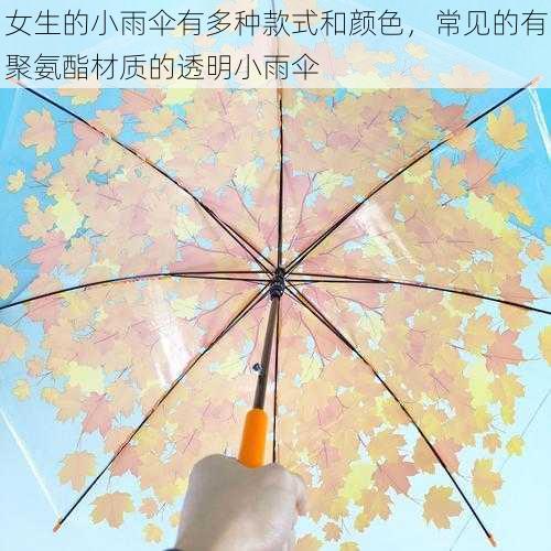 女生的小雨伞有多种款式和颜色，常见的有聚氨酯材质的透明小雨伞