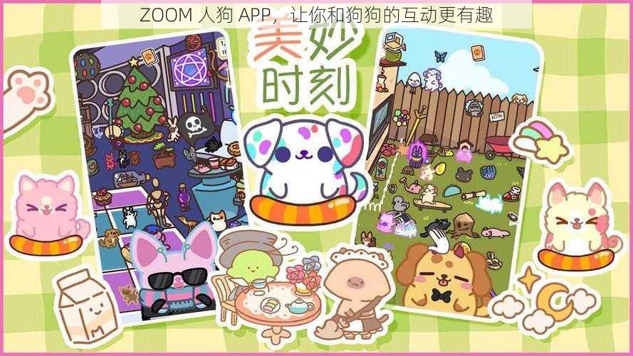 ZOOM 人狗 APP，让你和狗狗的互动更有趣