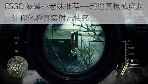 CSGO 暴躁小老妹推荐——超逼真枪械皮肤，让你体验真实射击快感