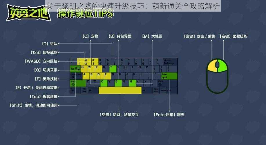 关于黎明之路的快速升级技巧：萌新通关全攻略解析