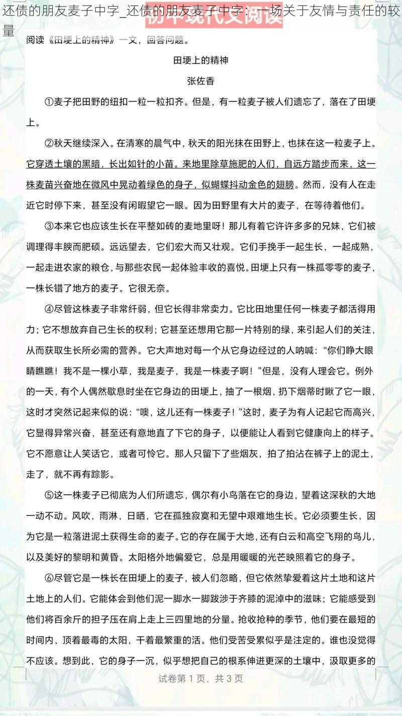 还债的朋友麦子中字_还债的朋友麦子中字：一场关于友情与责任的较量