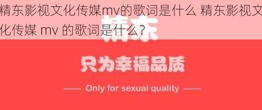 精东影视文化传媒mv的歌词是什么 精东影视文化传媒 mv 的歌词是什么？