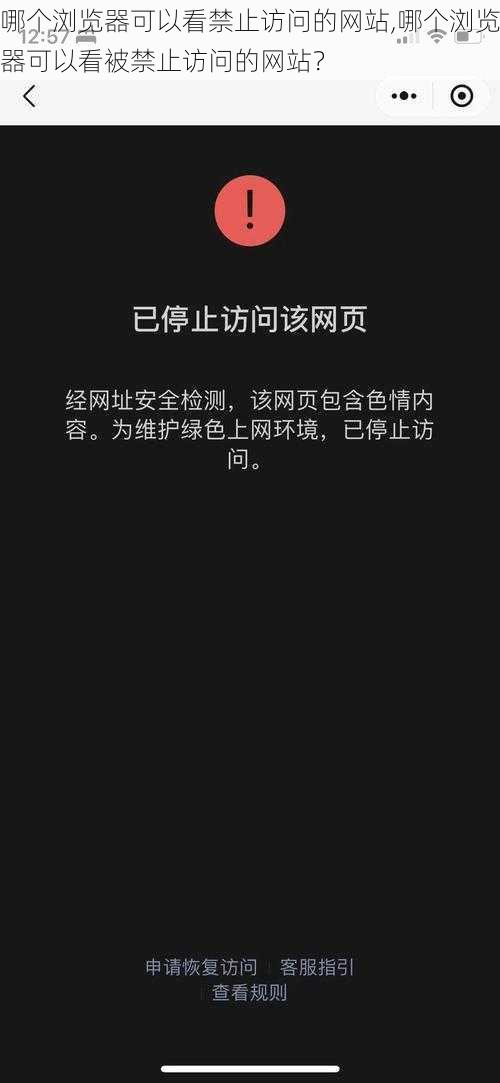 哪个浏览器可以看禁止访问的网站,哪个浏览器可以看被禁止访问的网站？