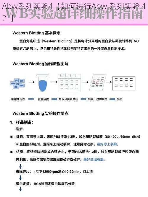 Abw系列实验4【如何进行Abw 系列实验 4？】