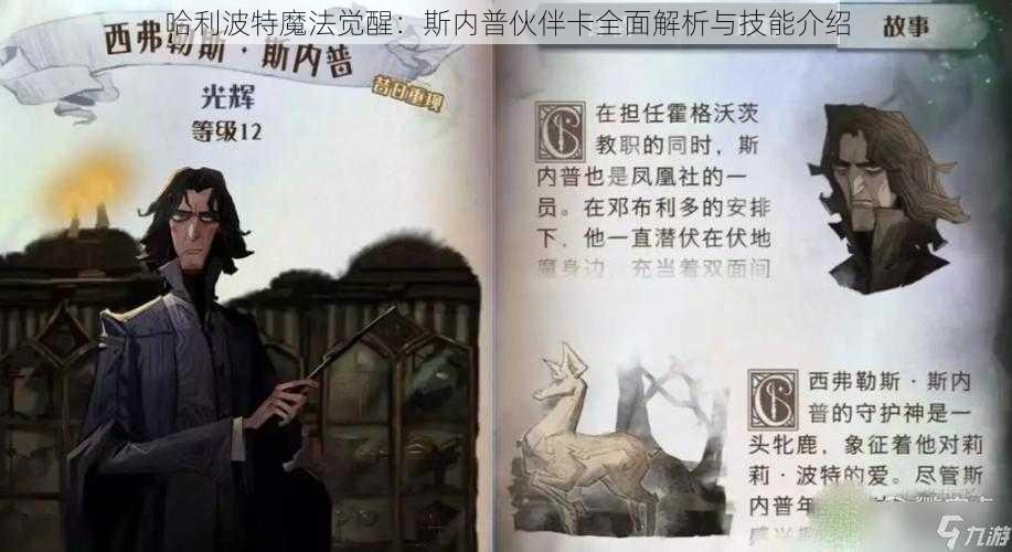 哈利波特魔法觉醒：斯内普伙伴卡全面解析与技能介绍