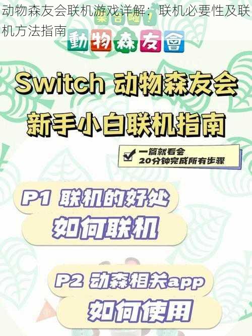 动物森友会联机游戏详解：联机必要性及联机方法指南