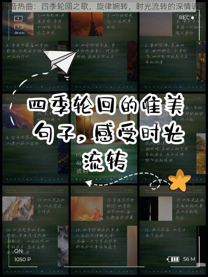 抖音热曲：四季轮回之歌，旋律婉转，时光流转的深情诉说