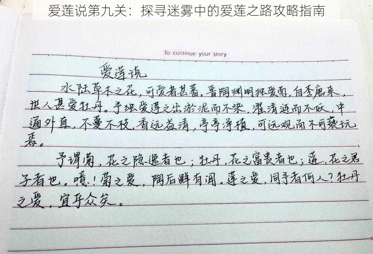 爱莲说第九关：探寻迷雾中的爱莲之路攻略指南