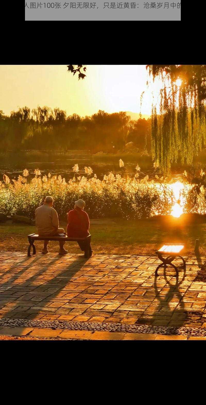 夕阳老人图片100张 夕阳无限好，只是近黄昏：沧桑岁月中的温情瞬间