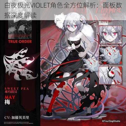 白夜极光VIOLET角色全方位解析：面板数据深度解读