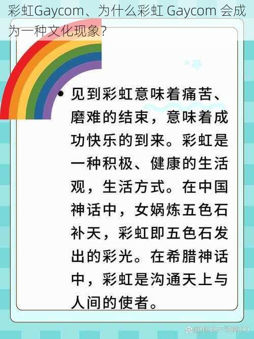 彩虹Gaycom、为什么彩虹 Gaycom 会成为一种文化现象？