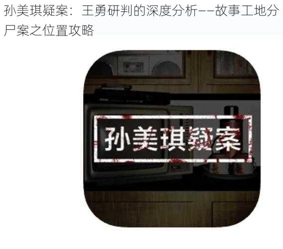 孙美琪疑案：王勇研判的深度分析——故事工地分尸案之位置攻略