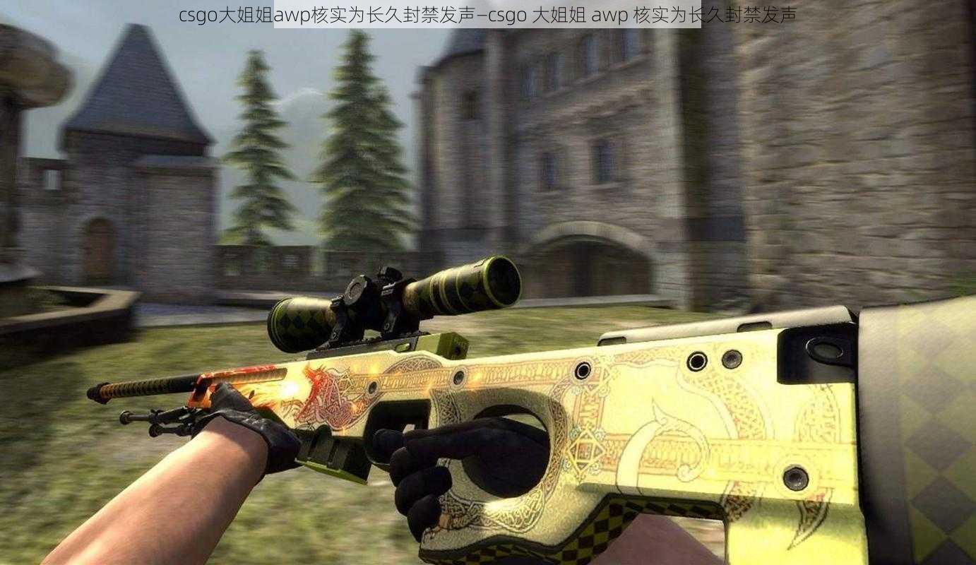 csgo大姐姐awp核实为长久封禁发声—csgo 大姐姐 awp 核实为长久封禁发声