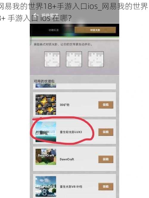 网易我的世界18+手游入口ios_网易我的世界 18+ 手游入口 ios 在哪？