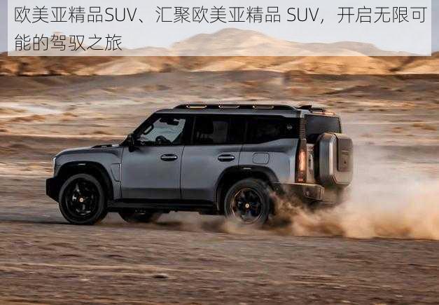 欧美亚精品SUV、汇聚欧美亚精品 SUV，开启无限可能的驾驭之旅