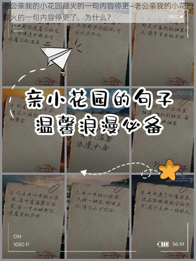 老公亲我的小花园最火的一句内容停更—老公亲我的小花园最火的一句内容停更了，为什么？