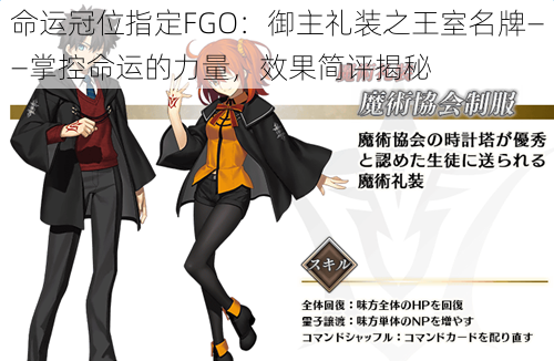 命运冠位指定FGO：御主礼装之王室名牌——掌控命运的力量，效果简评揭秘