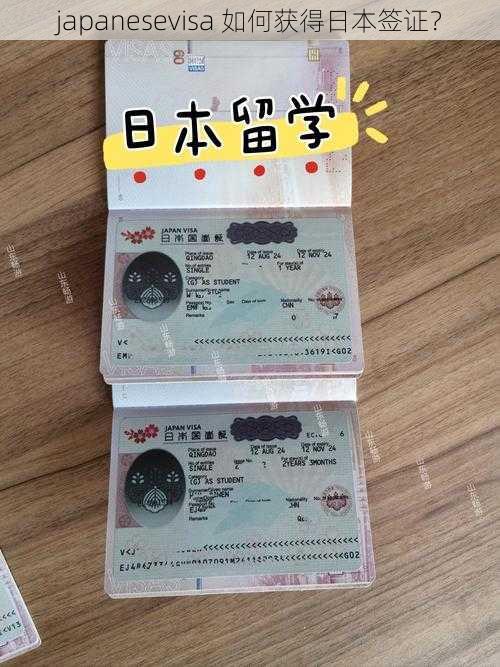 japanesevisa 如何获得日本签证？