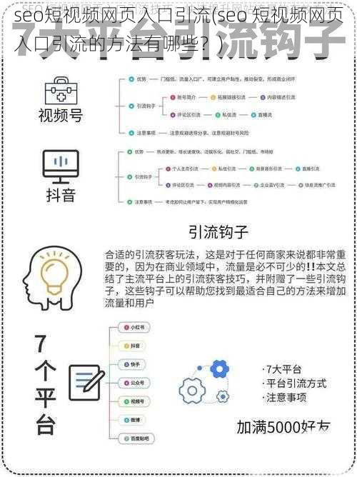 seo短视频网页入口引流(seo 短视频网页入口引流的方法有哪些？)