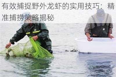 有效捕捉野外龙虾的实用技巧：精准捕捞策略揭秘