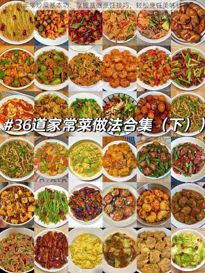 新手学炒菜基本功：掌握基础烹饪技巧，轻松烹饪美味佳肴