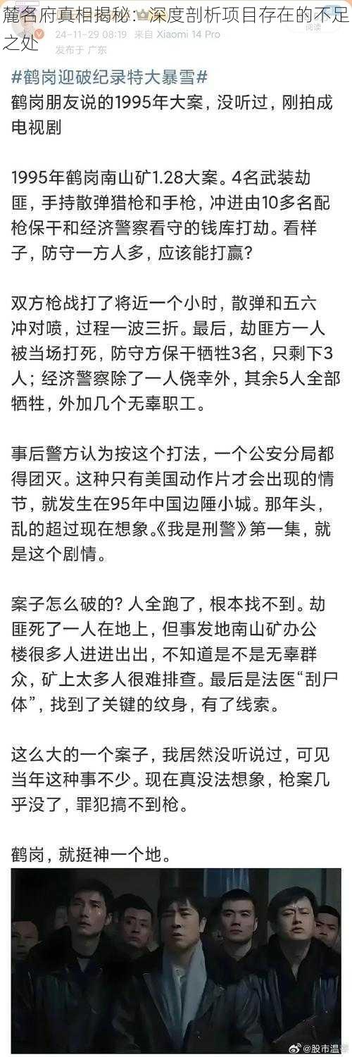 麓名府真相揭秘：深度剖析项目存在的不足之处