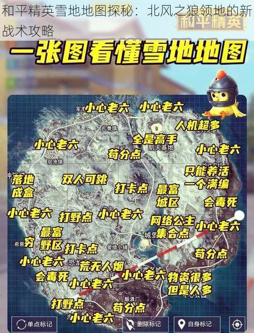 和平精英雪地地图探秘：北风之狼领地的新战术攻略