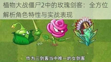 植物大战僵尸2中的玫瑰剑客：全方位解析角色特性与实战表现