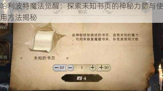 哈利波特魔法觉醒：探索未知书页的神秘力量与使用方法揭秘