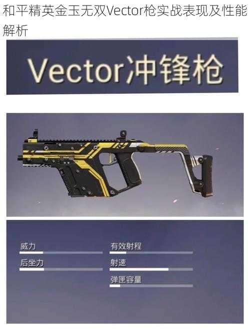 和平精英金玉无双Vector枪实战表现及性能解析