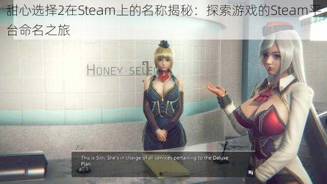 甜心选择2在Steam上的名称揭秘：探索游戏的Steam平台命名之旅