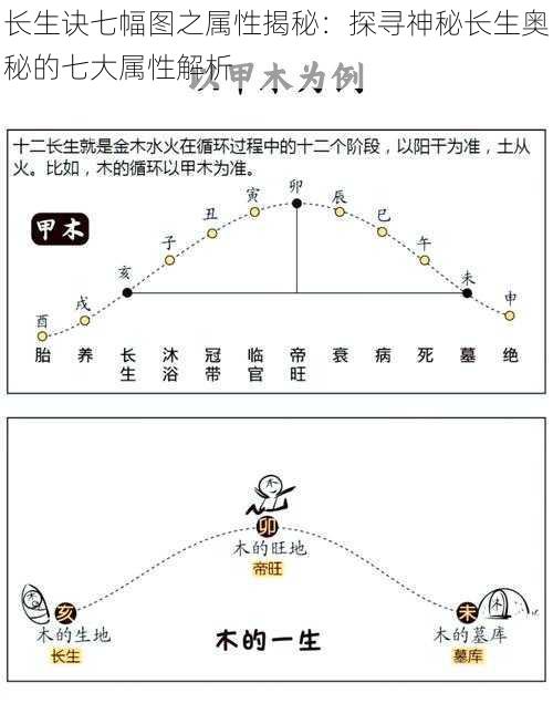 长生诀七幅图之属性揭秘：探寻神秘长生奥秘的七大属性解析