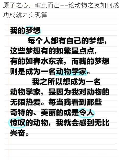 原子之心，破茧而出——论动物之友如何成功成就之实现篇