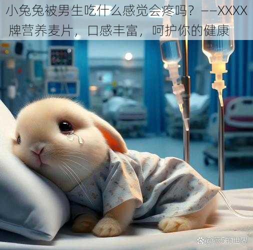 小兔兔被男生吃什么感觉会疼吗?——XXXX 牌营养麦片,口感丰富,呵护你的健康
