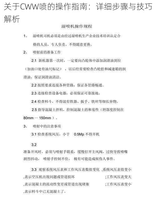 关于CWW喷的操作指南:详细步骤与技巧解析