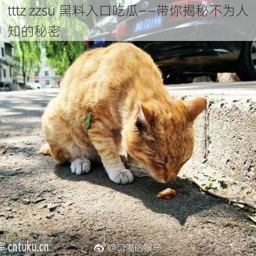 tttz zzsu 黑料入口吃瓜——带你揭秘不为人知的秘密