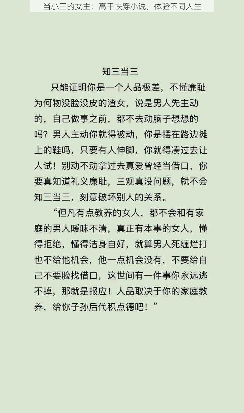 当小三的女主:高干快穿小说,体验不同人生