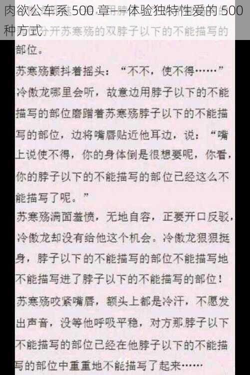 肉欲公车系 500 章——体验独特性爱的 500 种方式