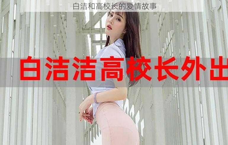 白洁和高校长的爱情故事