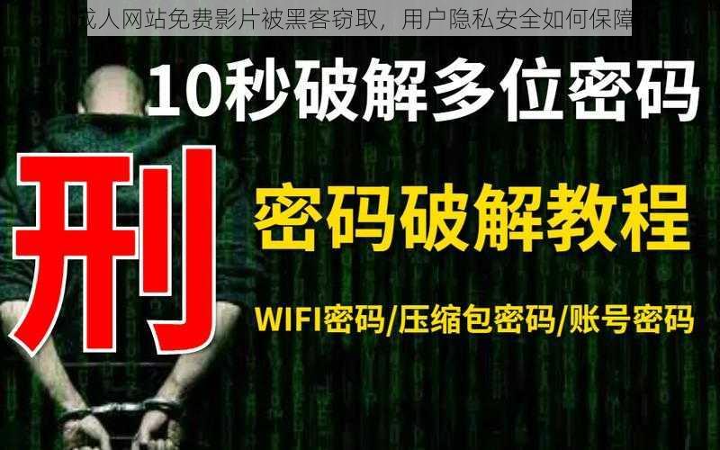 成人网站免费影片被黑客窃取,用户隐私安全如何保障?