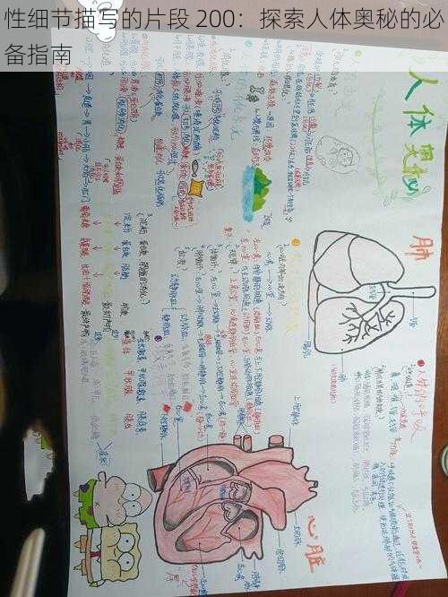 性细节描写的片段 200:探索人体奥秘的必备指南