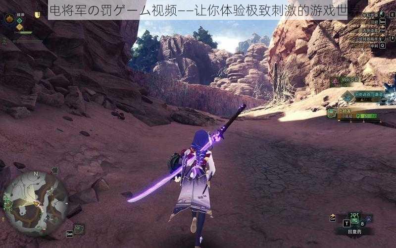 雷电将军の罚ゲーム视频——让你体验极致刺激的游戏世界