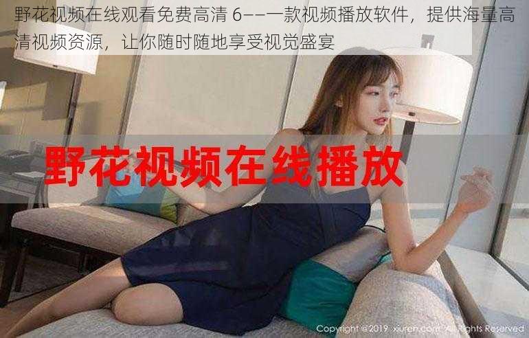 野花视频在线观看免费高清 6——一款视频播放软件,提供海量高清视频资源,让你随时随地享受视觉盛宴