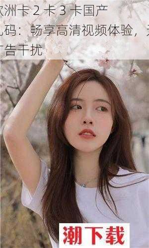 欧洲卡 2 卡 3 卡国产乱码:畅享高清视频体验,无广告干扰