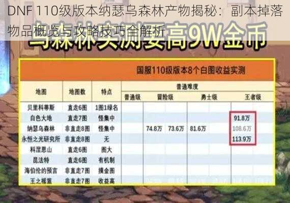 DNF 110级版本纳瑟乌森林产物揭秘:副本掉落物品概览与攻略技巧全解析