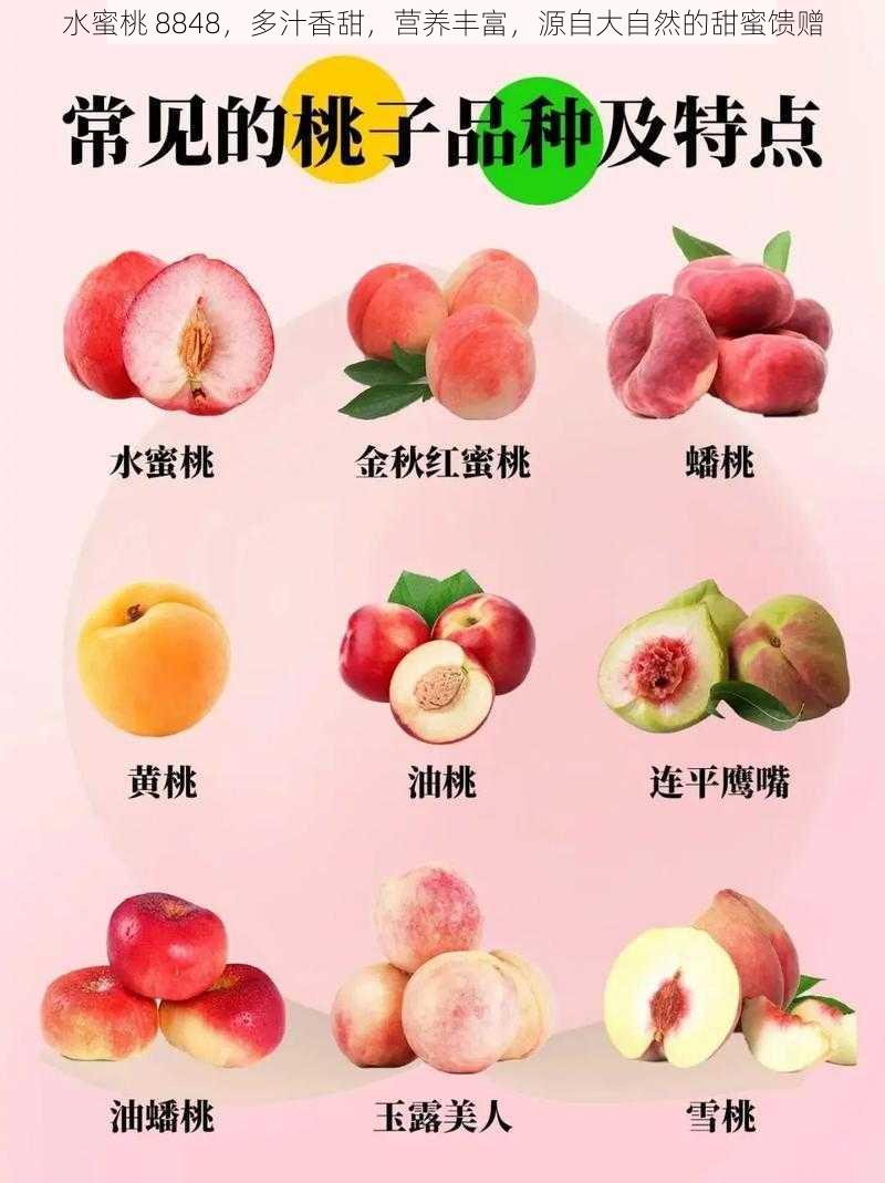 水蜜桃 8848,多汁香甜,营养丰富,源自大自然的甜蜜馈赠