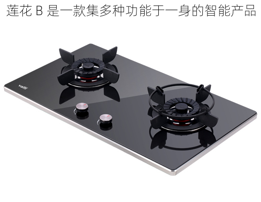 莲花 B 是一款集多种功能于一身的智能产品