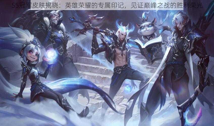 S5冠军皮肤揭晓:英雄荣耀的专属印记,见证巅峰之战的胜利荣光