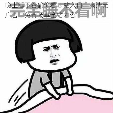 晚上睡不着偷偷看 B 站入口,高清无广告,免费畅享全站内容