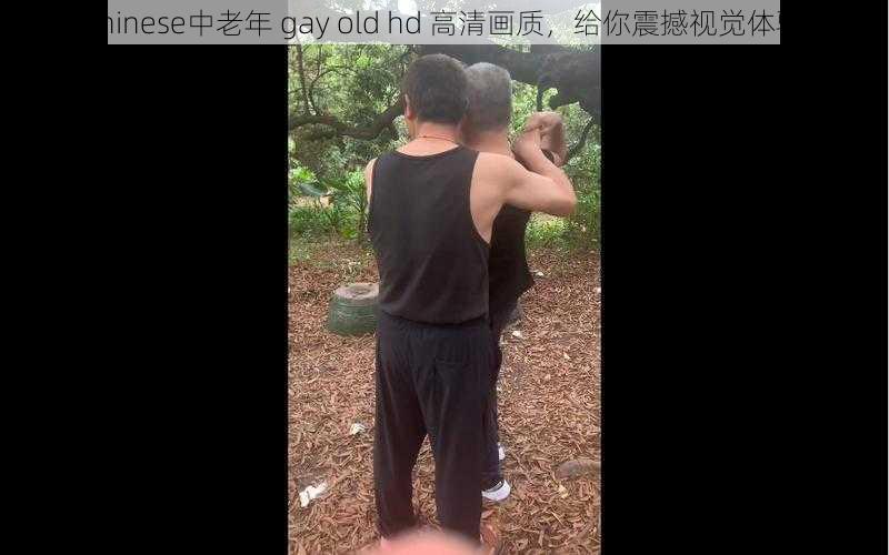 chinese中老年 gay old hd 高清画质,给你震撼视觉体验